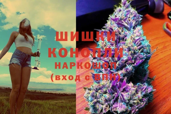 ПСИЛОЦИБИНОВЫЕ ГРИБЫ Алзамай