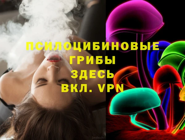 ПСИЛОЦИБИНОВЫЕ ГРИБЫ Алзамай