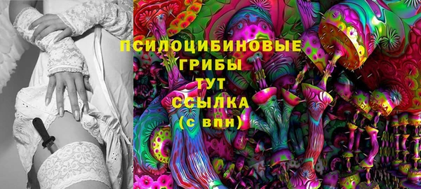 Альфа ПВП Алексин
