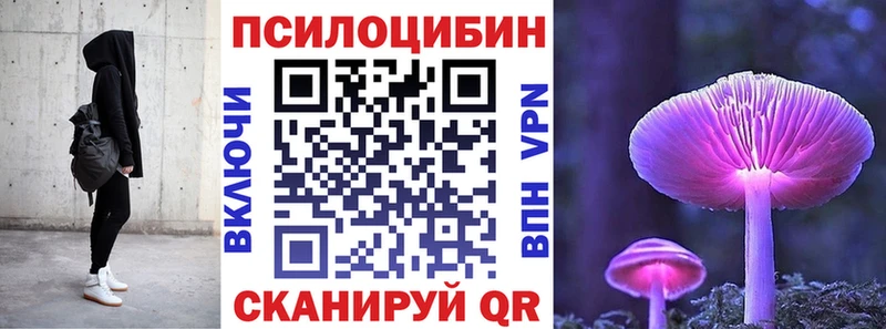 Псилоцибиновые грибы ЛСД  kraken ONION  Жигулёвск  купить закладку 